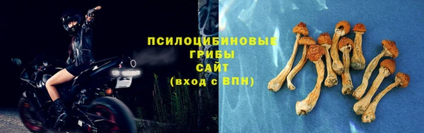бутират Каменка