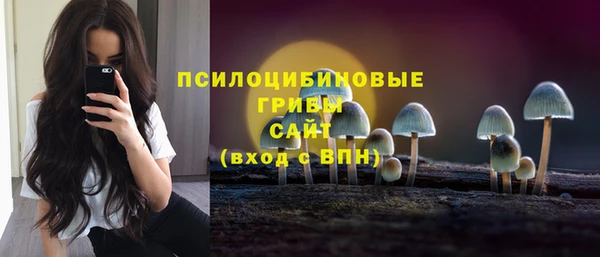 ПСИЛОЦИБИНОВЫЕ ГРИБЫ Каменногорск
