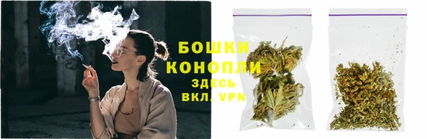 ПСИЛОЦИБИНОВЫЕ ГРИБЫ Каменногорск