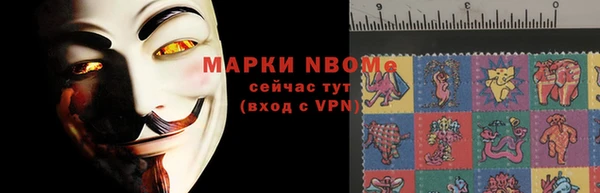 ПСИЛОЦИБИНОВЫЕ ГРИБЫ Каменногорск