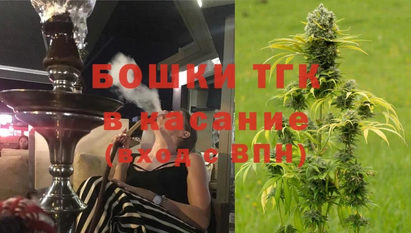 ПСИЛОЦИБИНОВЫЕ ГРИБЫ Каменногорск