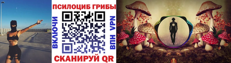 Псилоцибиновые грибы MAGIC MUSHROOMS  Купить закладки  Аркадак 